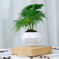 GOMINIMO Magnetic Levitating Plant Pot