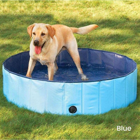 Floofi Pet Pool 120cm*30cm Blue