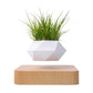 GOMINIMO Magnetic Levitating Plant Pot