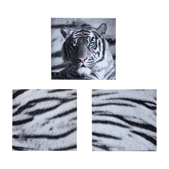 Just Home Set of 3 Printed Blue Eyes Stripes Tiger Wall Canvas - Magdasmall