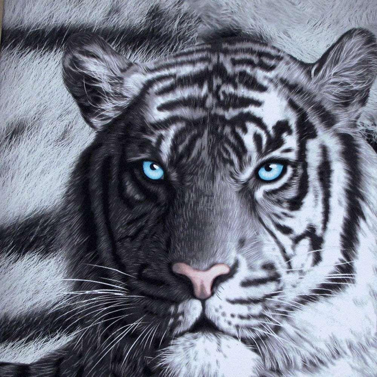 Just Home Set of 3 Printed Blue Eyes Stripes Tiger Wall Canvas - Magdasmall