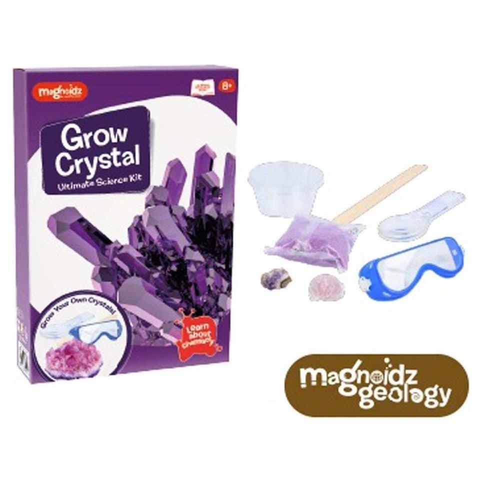 Magnoidz Crystal Growing Kit