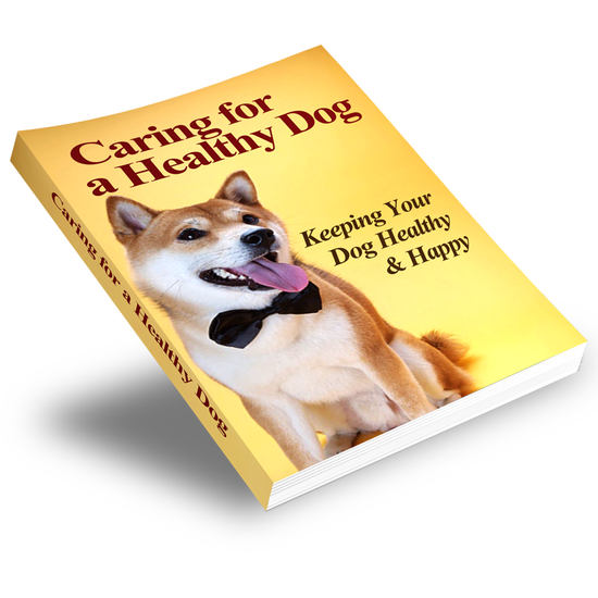 Pawsitively Perfect: Dog Training Essentials and Care Guide Bundle - 5 eBook Bundle - eBook - Instant Download - Magdasmall