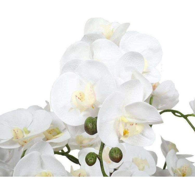 Potted Single Stem White Phalaenopsis Orchid With Decorative Pot 35cm