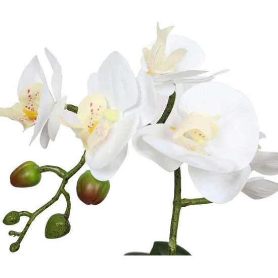 Potted Single Stem White Phalaenopsis Orchid With Decorative Pot 35cm
