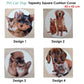 Tapestry Pet Cat Dog Square Cushion Cover Design 2