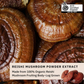 Teelixir Mushrooms-Supplements Food & Bev