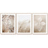 Wall Art 40cmx60cm Dried Flower 3 Sets Wood Frame Canvas - Magdasmall