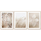 Wall Art 40cmx60cm Dried Flower 3 Sets Wood Frame Canvas - Magdasmall