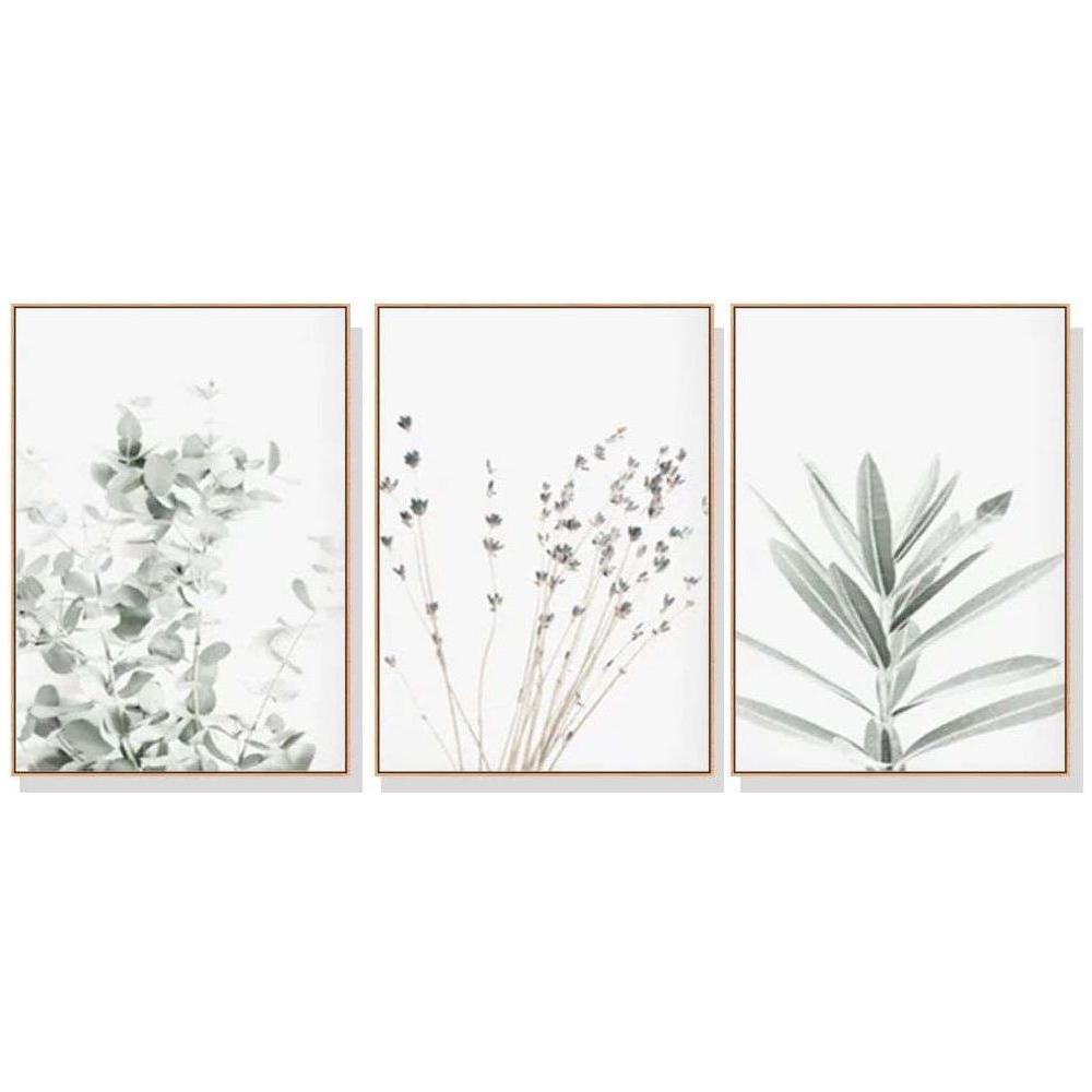 Wall Art 40cmx60cm Lavender Eucalyptus 3 Sets Wood Frame Canvas - Magdasmall