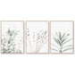 Wall Art 40cmx60cm Lavender Eucalyptus 3 Sets Wood Frame Canvas - Magdasmall