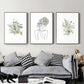 Wall Art 50cmx70cm Botanical Line Girl 3 Sets Black Frame Canvas - Magdasmall