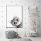 Wall Art 50cmx70cm Cat With Glasses Black Frame Canvas - Magdasmall