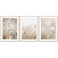 Wall Art 50cmx70cm Dried Flower 3 Sets Wood Frame Canvas