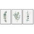 Wall Art 50cmx70cm Eucalyptus Plant 3 Sets Black Frame Canvas