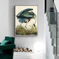 Wall Art 50cmx70cm Great Blue Heron By John James Audubon Black Frame Canvas - Magdasmall