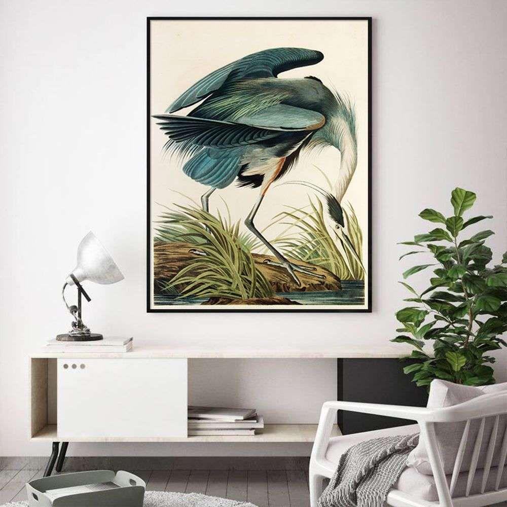 Wall Art 50cmx70cm Great Blue Heron By John James Audubon Black Frame Canvas - Magdasmall