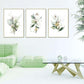 Wall Art 50cmx70cm Green and Gold Watercolor Botanical 3 Sets Gold Frame Canvas - Magdasmall