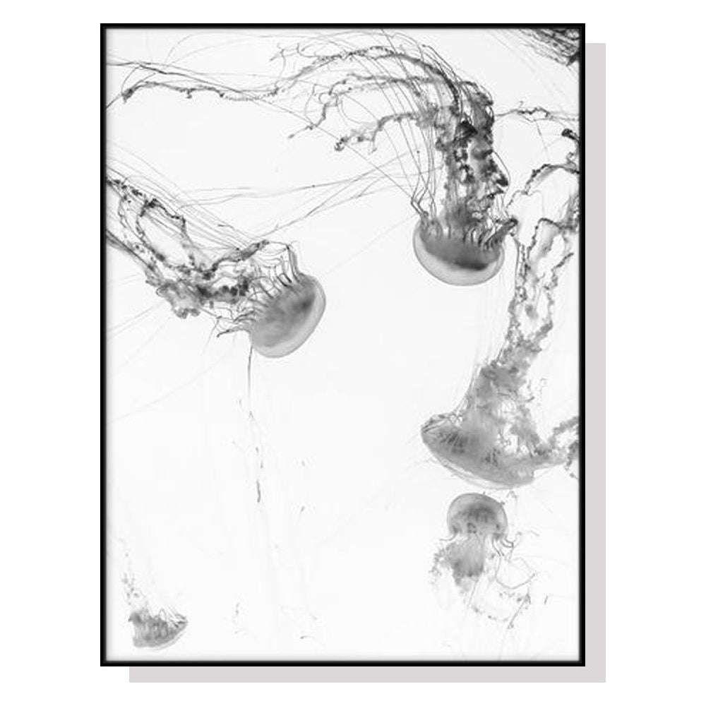 Wall Art 50cmx70cm Jellyfish Black Frame Canvas - Magdasmall