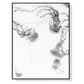 Wall Art 50cmx70cm Jellyfish Black Frame Canvas - Magdasmall
