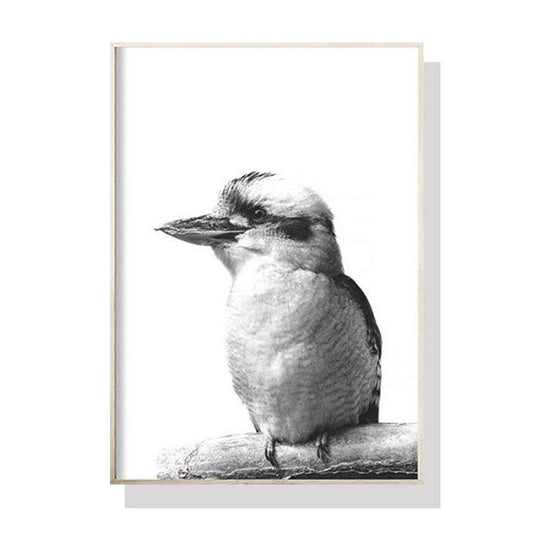 Wall Art 50cmx70cm Kookaburra Black Frame Canvas - Magdasmall