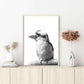 Wall Art 50cmx70cm Kookaburra Black Frame Canvas - Magdasmall