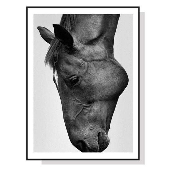 Wall Art 50cmx70cm Modern Black Horse Black Frame Canvas - Magdasmall