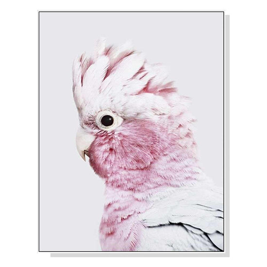 Wall Art 50cmx70cm Pink Galah White Frame Canvas - Magdasmall