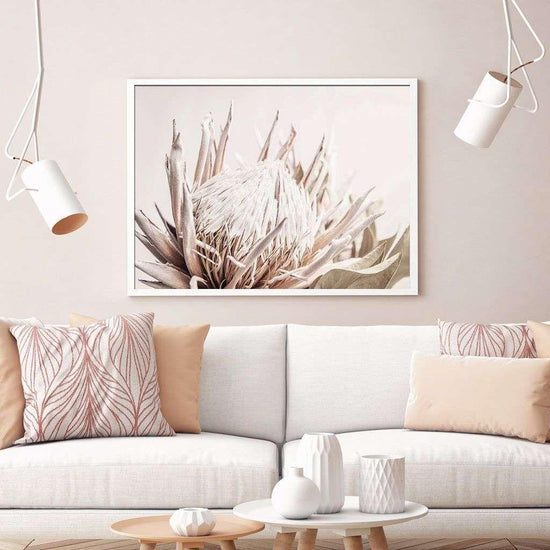 Wall Art 50cmx70cm Pure Protea II White Frame Canvas - Magdasmall