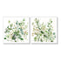 Wall Art 60cmx60cm Sage Garden By Carol Robinson 2 Sets White Frame Canvas - Magdasmall