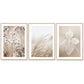 Wall Art 60cmx90cm Dried Flower 3 Sets Wood Frame Canvas - Magdasmall