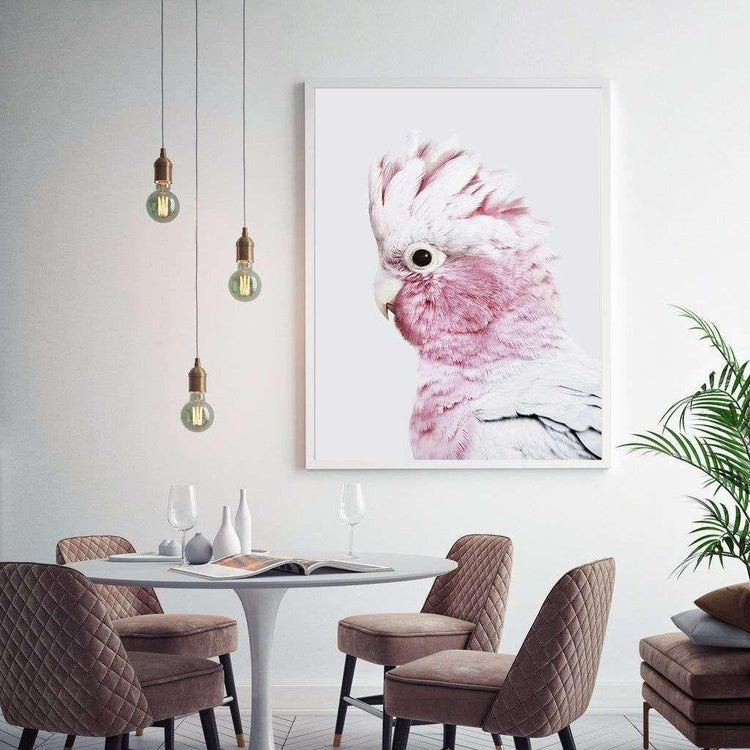 Wall Art 60cmx90cm Pink Galah White Frame Canvas - Magdasmall