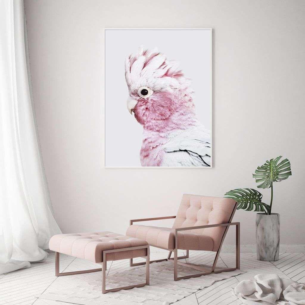 Wall Art 60cmx90cm Pink Galah White Frame Canvas - Magdasmall