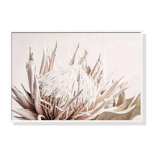 Wall Art 60cmx90cm Pure Protea II White Frame Canvas - Magdasmall