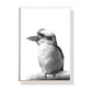 Wall Art 70cmx100cm Kookaburra Black Frame Canvas