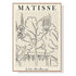 Wall Art 70cmx100cm Line Art By Henri Matisse Wood Frame Canvas - Magdasmall