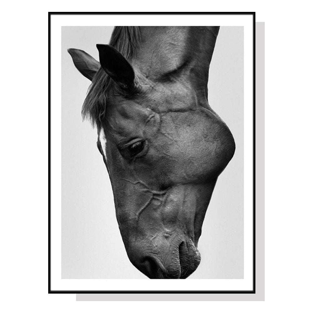 Wall Art 70cmx100cm Modern Black Horse Black Frame Canvas