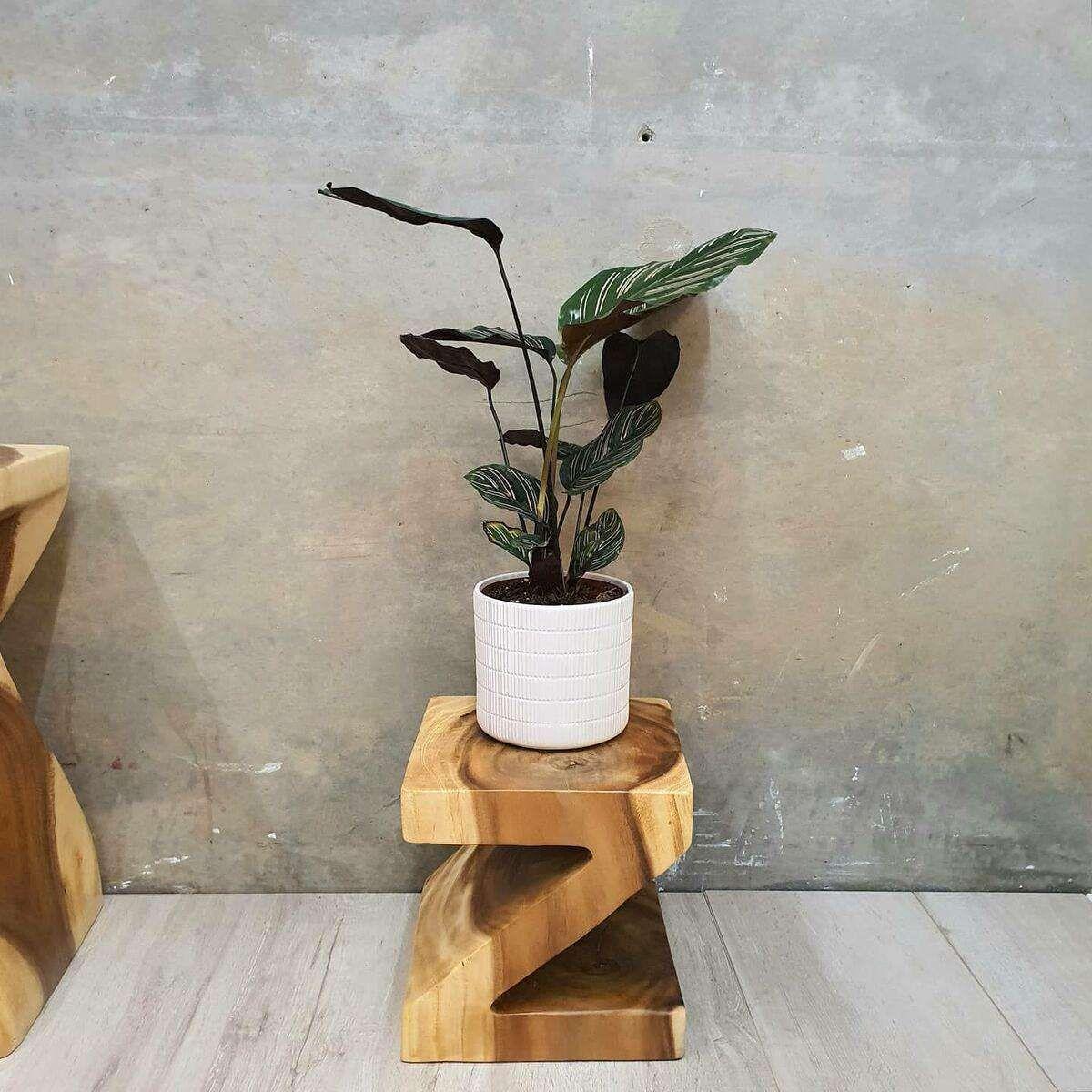 Z Shape 25cm Plant Stand/Stool/Side Table/Corner Table Raintree Wood - Magdasmall